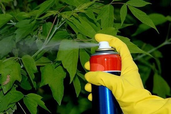 2021092716301616a068f3ac1e4e3f82c228b8cd08eb94 2021092716301616a068f3ac1e4e3f82c228b8cd08eb94