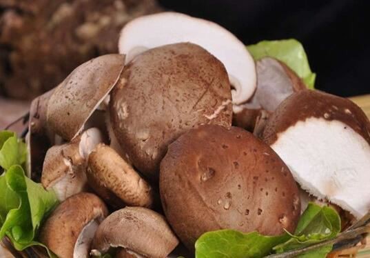 2021101816223902fe442c992d4aeaafbc78c39b7718a6 2021101816223902fe442c992d4aeaafbc78c39b7718a6