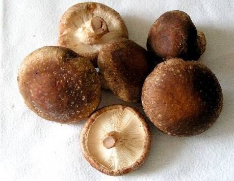 2021101816243336b2782ce56e40acbef5aec11c511057 2021101816243336b2782ce56e40acbef5aec11c511057