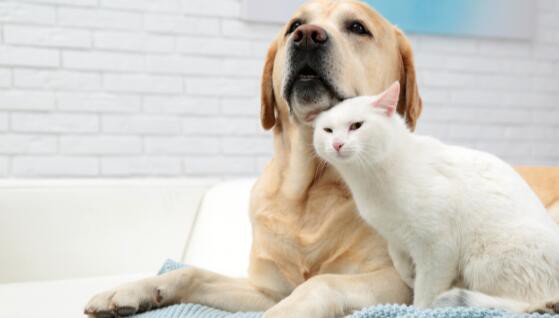 202111221624557afbeede2de0438a82b04eef9ea94d9f 202111221624557afbeede2de0438a82b04eef9ea94d9f