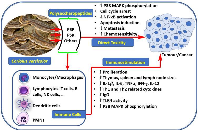 20210119134259dd015194bcb1400cb2cf34cb8f08a1e1 20210119134259dd015194bcb1400cb2cf34cb8f08a1e1