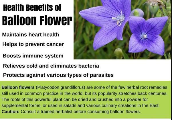 20210220102335f1cb1ffd07eb408d973e7867cbbc1331-2 20210220102335f1cb1ffd07eb408d973e7867cbbc1331-2