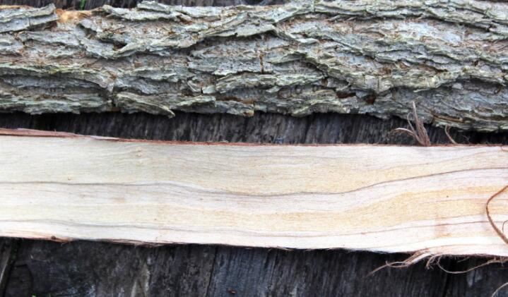 2021070613574766b952a36ce0408ca1a9fe7710d41c0e-8 2021070613574766b952a36ce0408ca1a9fe7710d41c0e-8