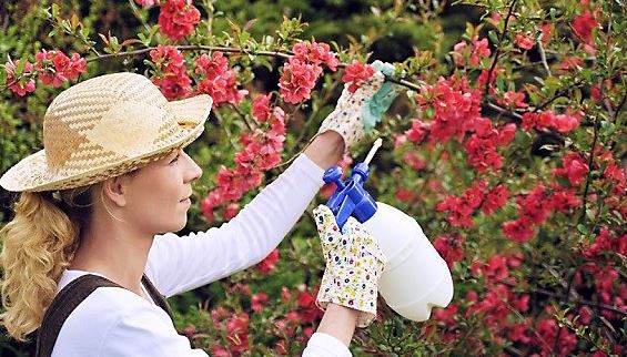 20210727151754696670be36c140aea18fa809b4c85a5d-8 20210727151754696670be36c140aea18fa809b4c85a5d-8