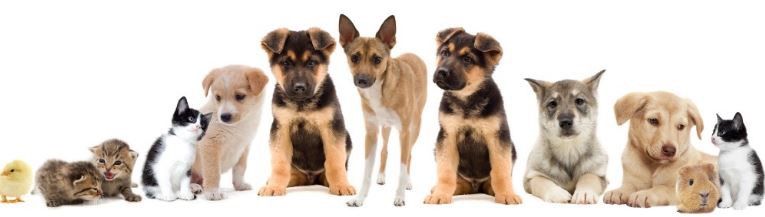 202108031415371d4086003bf646b9979bbe3a9e15c806 202108031415371d4086003bf646b9979bbe3a9e15c806