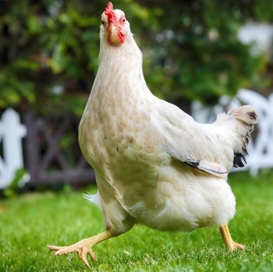 202108051701196bbc5e614fca46e0b3baf3ec3a9581ef-3 202108051701196bbc5e614fca46e0b3baf3ec3a9581ef-3