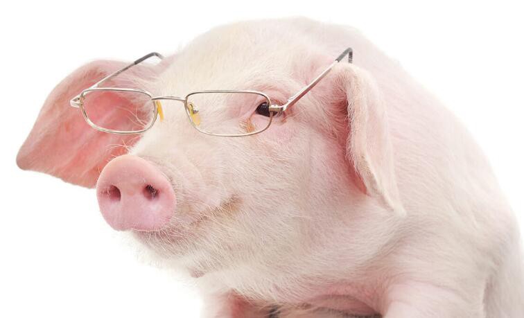 2021080911514042be063410b541dc9c61008847df5ae8-10 2021080911514042be063410b541dc9c61008847df5ae8-10