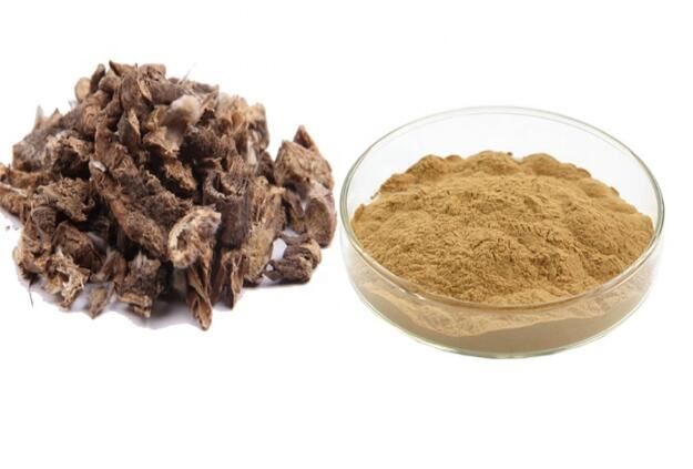 20210810132308b9214213697946599355569647070b06 20210810132308b9214213697946599355569647070b06