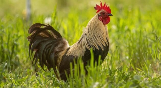 202108111351283992aa9e661e470caa4672b0c0399ab2-27 202108111351283992aa9e661e470caa4672b0c0399ab2-27