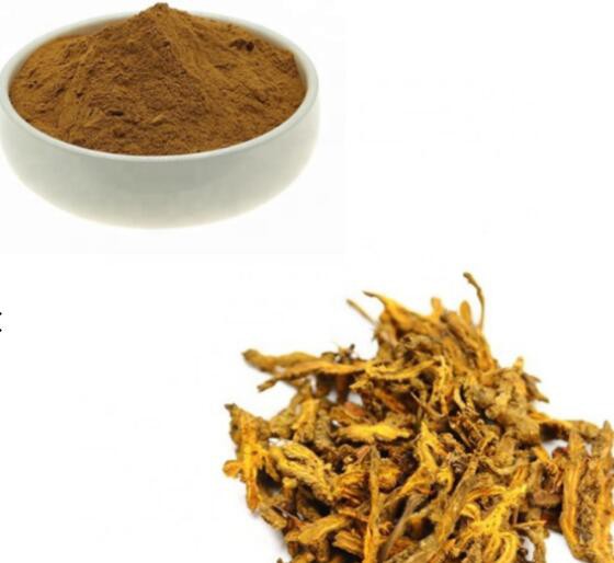 202108111400158e5355e02ddf4ea9aeeb756f680ecf72 202108111400158e5355e02ddf4ea9aeeb756f680ecf72