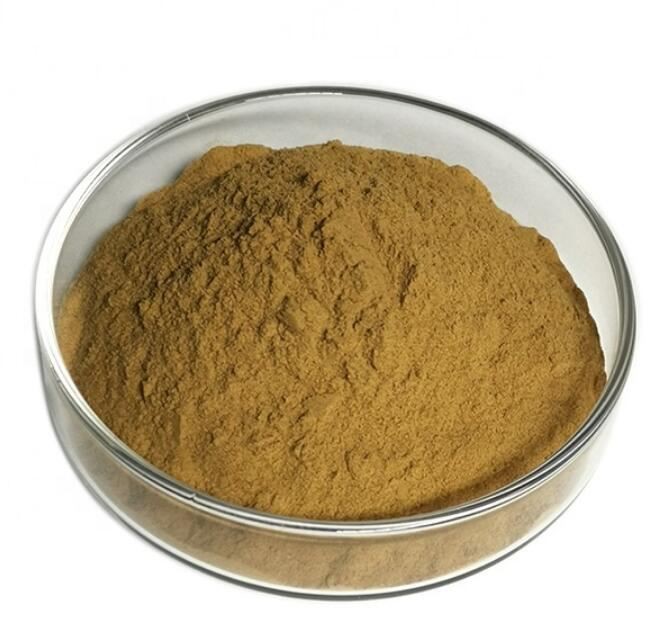 20210811140027e57f02323774415ea1ca75ac2ac96e11 20210811140027e57f02323774415ea1ca75ac2ac96e11