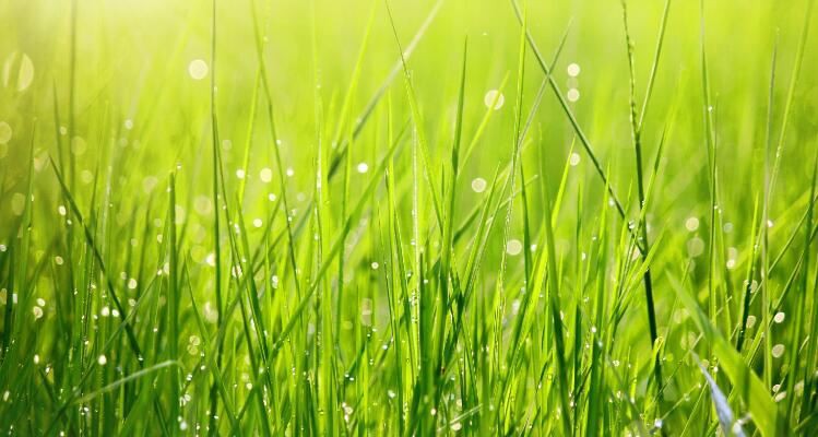 2021081215314888f95b065fe64b39b6f84ef1203fd041-21 2021081215314888f95b065fe64b39b6f84ef1203fd041-21