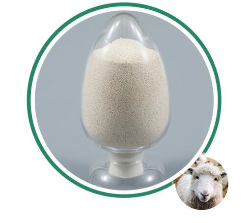 202109061638391ed7ee3855ea4e5986afc0c92123cc4e-1 202109061638391ed7ee3855ea4e5986afc0c92123cc4e-1