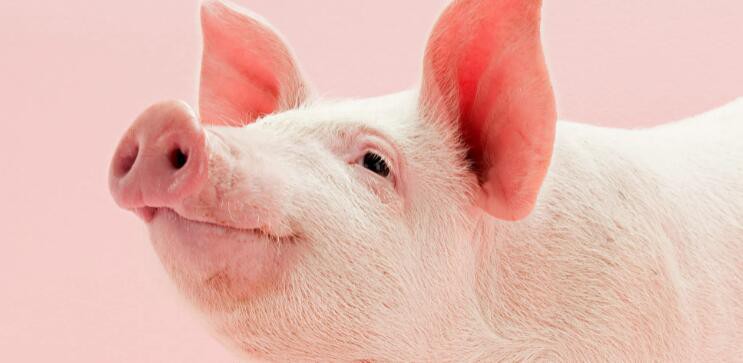 2021090816291846a4e7f8e8ab4046852b2e8771734bc7-20 2021090816291846a4e7f8e8ab4046852b2e8771734bc7-20