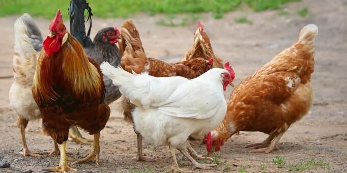 202109131415145846d774e75e4b8584c4025d3fa3f1f6-1 202109131415145846d774e75e4b8584c4025d3fa3f1f6-1