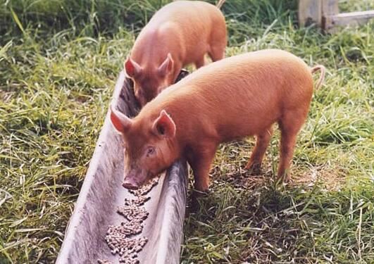 20210913144947364db883cf3c4b739a6855da140c2c30-5 20210913144947364db883cf3c4b739a6855da140c2c30-5