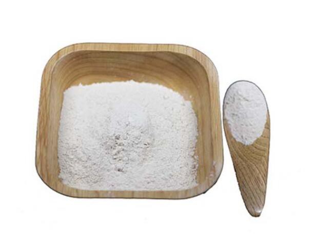 2021102714215598bf1785f14641deafcf29917b80d0ef 2021102714215598bf1785f14641deafcf29917b80d0ef