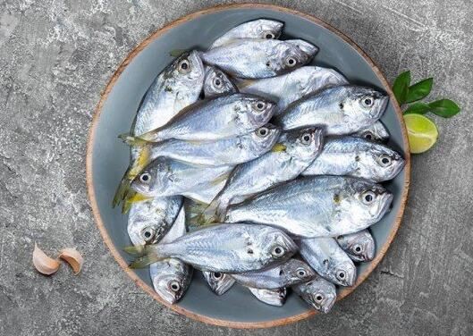 202110271508174e3496434cb44157a3a6a0194cf840a2 202110271508174e3496434cb44157a3a6a0194cf840a2