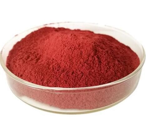 20211112161426403ec4c918914b47bd488fd6cd3e2d9a 20211112161426403ec4c918914b47bd488fd6cd3e2d9a