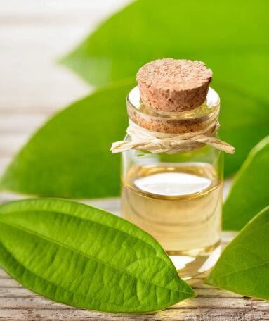 20211117153404503c66be00484c8ca6b94402c7713235