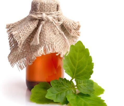 20211119164243573b7a82777f4c79b5fd0b7a5fde2783-2 20211119164243573b7a82777f4c79b5fd0b7a5fde2783-2