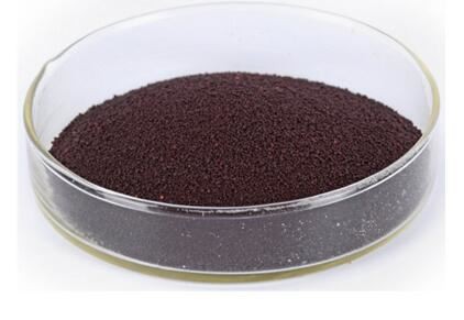 20211123145406c8ae2af4985b4d1894517b5b858d8a57-1 20211123145406c8ae2af4985b4d1894517b5b858d8a57-1