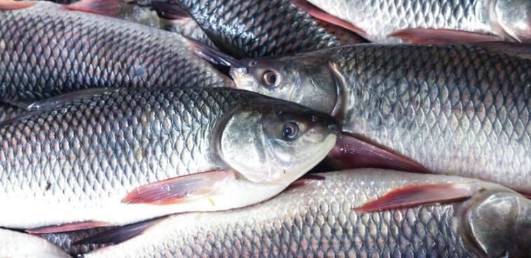 20211202153921676b3368886e452bbe0c37eb7fb2fdde-8 20211202153921676b3368886e452bbe0c37eb7fb2fdde-8