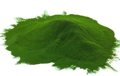 20211202154016c69fd40031e3436cb74a61c99d111ef0 20211202154016c69fd40031e3436cb74a61c99d111ef0