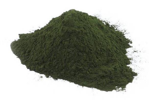 20211203163527ec8762a806d042a19b1faee7c67edfa4