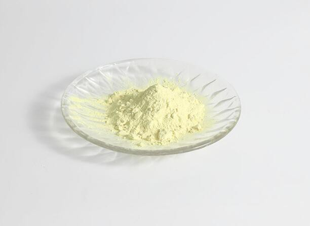 202112071330361316aa991b774a62aedab3cac2bae5dc 202112071330361316aa991b774a62aedab3cac2bae5dc