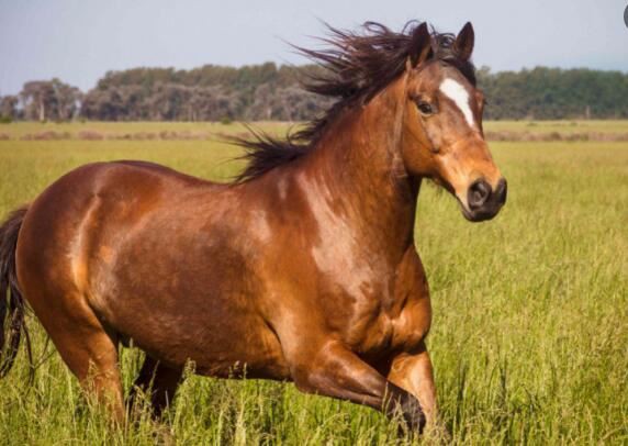 202112101533550753ecc62b12435c85f751ceb446f8a6 202112101533550753ecc62b12435c85f751ceb446f8a6