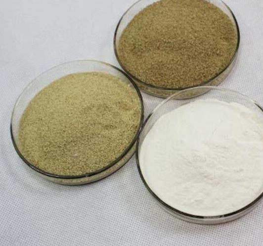 202112220919348993dc49fbf44d508404822a403c7909 202112220919348993dc49fbf44d508404822a403c7909