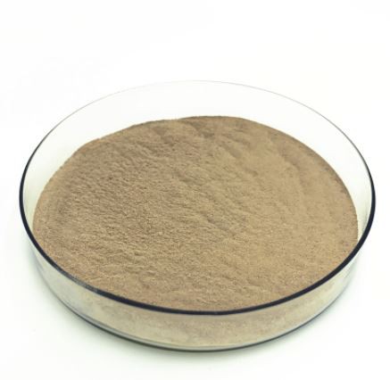 20211228095656533e87c9459542bd903f82b2a433a784-6 20211228095656533e87c9459542bd903f82b2a433a784-6