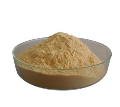 202112281021199949689b98e14be18b78e0fb7e562e89-1 202112281021199949689b98e14be18b78e0fb7e562e89-1