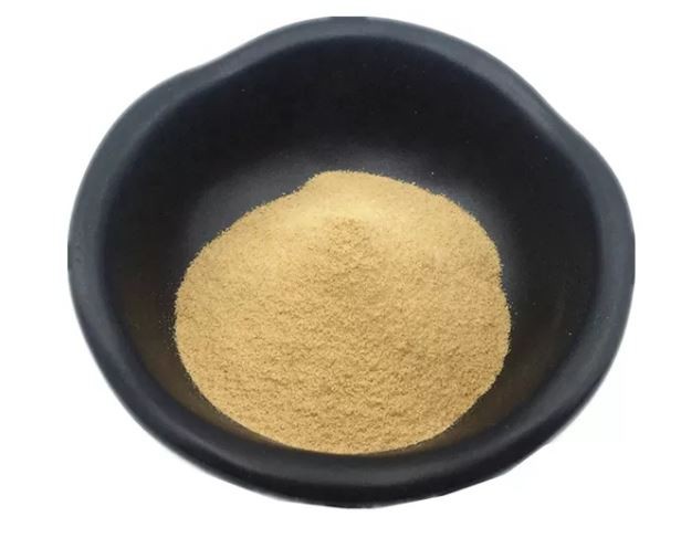 2021122910464019422444046048edbeb009ccd1601095-1 2021122910464019422444046048edbeb009ccd1601095-1