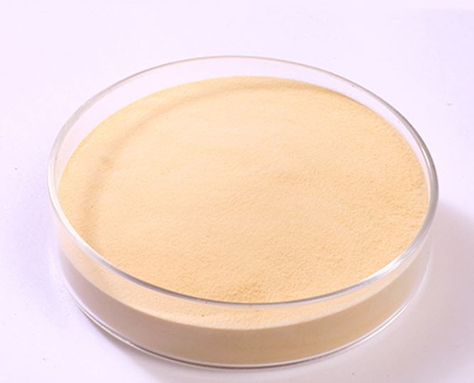 20211230095738e4c4f993e98b488a969ccaba91655ba0 20211230095738e4c4f993e98b488a969ccaba91655ba0