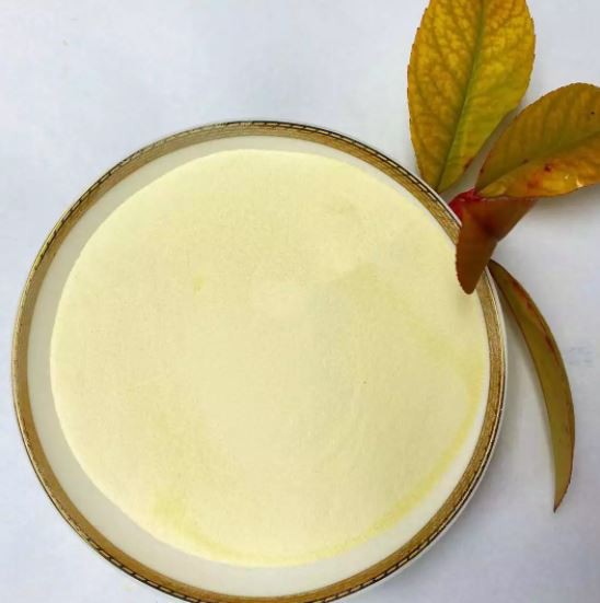 20220124141835f1e52aee324545b397a3b679a1cef3f8 20220124141835f1e52aee324545b397a3b679a1cef3f8