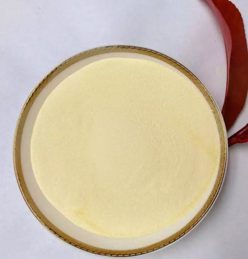 20220124141855d6279830890743d793a24e7da3ad3398-2 20220124141855d6279830890743d793a24e7da3ad3398-2