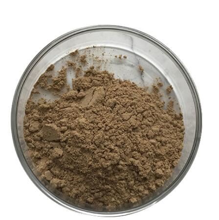 202202241556573d10fe58ca034a609306340887fe6951-1 202202241556573d10fe58ca034a609306340887fe6951-1