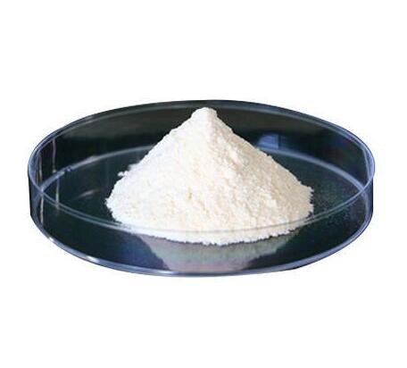 202202251609548ec0117a3a354eaf8e5c1ce76dfe33cf 202202251609548ec0117a3a354eaf8e5c1ce76dfe33cf