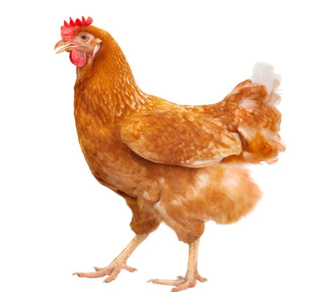 2022031711432202d94e2bdf834be6b8d73fa9be906fc5 2022031711432202d94e2bdf834be6b8d73fa9be906fc5