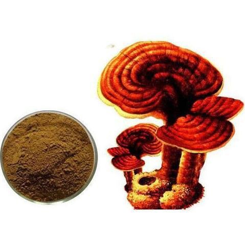 20220407165748be24285f00ed43cc8af7a5c73ec169e2 20220407165748be24285f00ed43cc8af7a5c73ec169e2