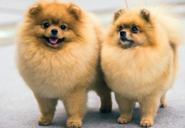 2022042211573314bb00e1fcce4202a35544cf73ef3730-5 2022042211573314bb00e1fcce4202a35544cf73ef3730-5