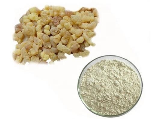 20220425133507415ebcd1e51e4096a57b404f3e241690-1 20220425133507415ebcd1e51e4096a57b404f3e241690-1