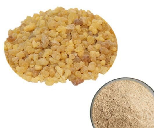 20220427164740c7879c1b16654c24b9fe459c06e2b35f-1 20220427164740c7879c1b16654c24b9fe459c06e2b35f-1