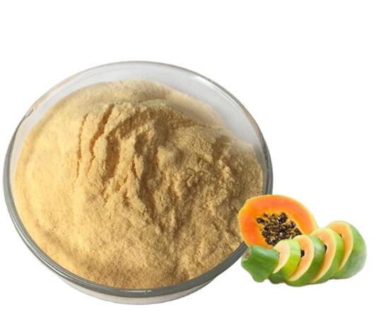 202205091556454ae13c3a08314a9c90cc8bb36826c480-1