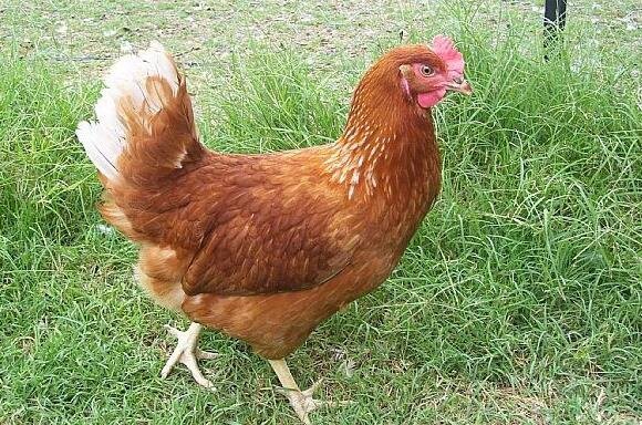 20220602120220b98cfd0f9ebb452ca0bd2ab612933676-1 20220602120220b98cfd0f9ebb452ca0bd2ab612933676-1