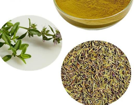 20220623112835ca2760a98e0c43cd92126e8544324a66 20220623112835ca2760a98e0c43cd92126e8544324a66