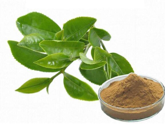 2022062716393424ddae12fff844b8a7e15cf23ea6f3d1 2022062716393424ddae12fff844b8a7e15cf23ea6f3d1