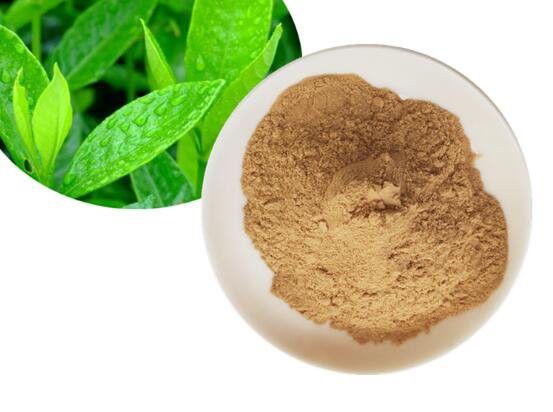 202206271639529a92947ca11f47fda3439cab52e251a5-1 202206271639529a92947ca11f47fda3439cab52e251a5-1